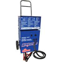 Vehicle Battery Starters