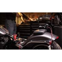 Genius&reg; 10 10-Amp Battery Charger NRZ Safety Inc.