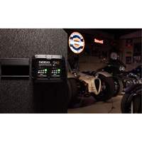 Genius&reg; 2X2 2-Bank, 4-Amp Battery Charger NRZ Safety Inc.
