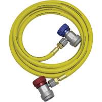Ensemble flexible de rinçage pour syst&egrave;me de climatisation R134a NRZ Safety Inc.