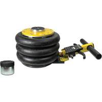 V&eacute;rin &agrave; coussin gonflable triphas&eacute; s&eacute;rie Pro, 2 tonne(s), 22" Hauteur &eacute;lev&eacute;e NRZ Safety Inc.