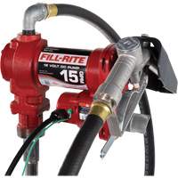 12V DC Fuel Transfer Pump with Nozzle NRZ Safety Inc.