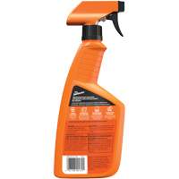 Multi-Purpose Auto Cleaner, 16 oz./473 ml, Trigger Bottle NRZ Safety Inc.