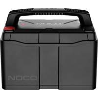 Group 31 120Ah Lithium-Ion LiFePO4 Dual-Purpose Battery NRZ Safety Inc.