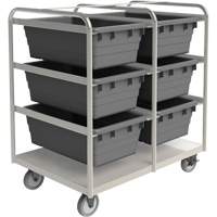 Mobile Tub Rack, Double-sided, 6 bins, 26" W x 36" D x 42" H NRZ Safety Inc.