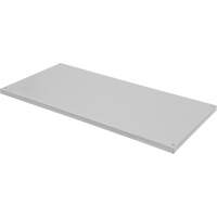 Tablette de rechange pour armoire d&eacute;montable, 30" x 15", Capacit&eacute; de 100 lb, Acier, Gris NRZ Safety Inc.