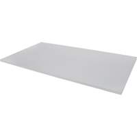 Replacement Shelf for Knocked Down Cabinet, 48" x 24", 300 lbs. Capacity, Steel, Grey NRZ Safety Inc.