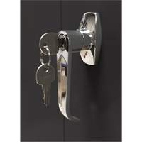 Storage Cabinet, Steel, 4 Shelves, 66" H x 30" W x 15" D, Black NRZ Safety Inc.