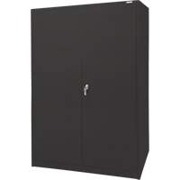 Storage Cabinet, Steel, 4 Shelves, 78" H x 48" W x 24" D, Black NRZ Safety Inc.