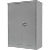 Counter-High Storage Cabinet, Steel, 2 Shelves, 42" H x 48" W x 24" D, Grey NRZ Safety Inc.