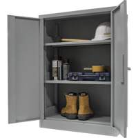 Counter-High Storage Cabinet, Steel, 2 Shelves, 42" H x 48" W x 24" D, Grey NRZ Safety Inc.
