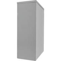 Counter-High Storage Cabinet, Steel, 2 Shelves, 42" H x 48" W x 24" D, Grey NRZ Safety Inc.