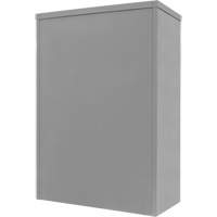 Counter-High Storage Cabinet, Steel, 2 Shelves, 42" H x 48" W x 24" D, Grey NRZ Safety Inc.