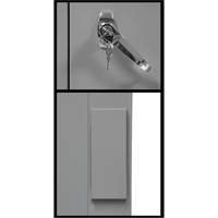 Counter-High Storage Cabinet, Steel, 2 Shelves, 42" H x 48" W x 24" D, Grey NRZ Safety Inc.