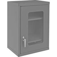 Armoire de rangement murale avec portes transparentes, 26-15/16" h x 18-1/8" la x 13-11/16" p, 2 tablettes, Acier, Gris NRZ Safety Inc.