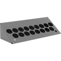 Aerosol Bin Topper NRZ Safety Inc.