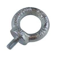 Drop Forged Eye Bolts, 1/8" Dia., 1/2" L, Uncoated Natural Finish, 154 lbs (70 kg) Capacity NRZ Safety Inc.