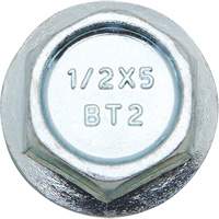 Wedge Bolts, Carbon Steel, 1/2" x 2" NRZ Safety Inc.