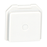 BW Gas Detector Dummy Sensor for Toxic Location NRZ Safety Inc.