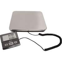 Digital Receiving Scale, 220 lbs. Cap., 1 lbs. Graduations NRZ Safety Inc.