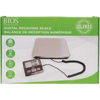 Digital Receiving Scale, 220 lbs. Cap., 1 lbs. Graduations NRZ Safety Inc.