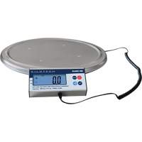 Keg Weighing Scale, 200 kg Capacity NRZ Safety Inc.