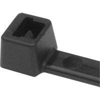 Attaches de c&acirc;ble PA66, Longueur 5-1/2", R&eacute;sistance &agrave; la traction 18 lb, Noir NRZ Safety Inc.