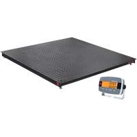 Balance de plancher DEFENDER 3000, Capacit&eacute; de 2500 lb, 48" la x 48" lo NRZ Safety Inc.