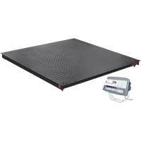 Balance de plancher DEFENDER 5000, Capacit&eacute; de 2500 lb, 48" la x 48" lo NRZ Safety Inc.