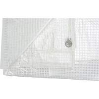 B&acirc;ches transparentes, 60' x 40' x 8 mils NRZ Safety Inc.