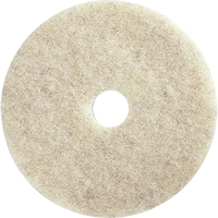 Tampons pour l'entretien des planchers, 21", Brunissage, Brun NRZ Safety Inc.