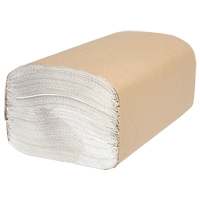 Everest Pro Singlefold Hand Towels, 1 Ply, 10-1/4" L x 9-1/4" W, 250 /Pack NRZ Safety Inc.