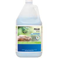 Nettoyant pour salle de bain Polar, 4 L, Cruche NRZ Safety Inc.