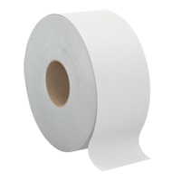 Papier hygi&eacute;nique Pro Select, Rouleau G&eacute;ant, 2 Pli, Longueur 500', Blanc NRZ Safety Inc.
