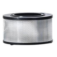 Wet/Dry Vacuum Filter, Hepa, Fits 8 - 11 US gal. NRZ Safety Inc.