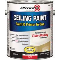 Ceiling Paint & Primer in One, White, Very Flat, 3.78 L, Gallon NRZ Safety Inc.