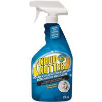Mold and Mildew Spray, 650 ml, Trigger Bottle NRZ Safety Inc.