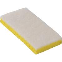 745W Light-Duty Scouring Sponges, 6-1/4" L x 3-1/5" W NRZ Safety Inc.
