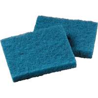 Non-Stick Cookware Cleaning Pad, Scrubbing, 5-1/4" W x 4" L NRZ Safety Inc.