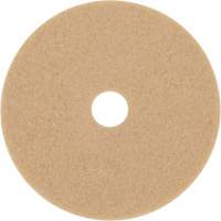 Trizact Diamond TZ Abrasive Strip, 20", Burnishing, Beige NRZ Safety Inc.