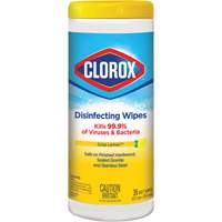 Disinfecting Wipes, 35 Count NRZ Safety Inc.