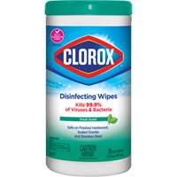 Disinfecting Wipes, 75 Count NRZ Safety Inc.