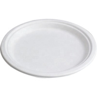 Compostable Plates NRZ Safety Inc.