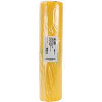 Hazardous Waste Liners, Asbestos, 40" L x 26" W, 3 mils NRZ Safety Inc.