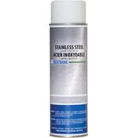 Stainless Steel Cleaner, 14 oz., Aerosol Can NRZ Safety Inc.