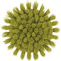 HyDrive Round Drill Brush, Extra Stiff Bristles, 3-1/10" Long, Yellow NRZ Safety Inc.
