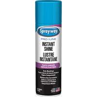 Brillant instantan&eacute; Pro Line pour surfaces en plastique, 11 oz, Canette a&eacute;rosol NRZ Safety Inc.