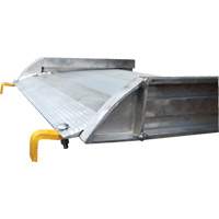 Aluminum Walk Ramp, 1000 lbs. Capacity, 38" W x 193-1/8" L NRZ Safety Inc.