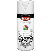 Appr&ecirc;t + peinture COLORmaxx, Blanc, Tr&egrave;s mat, 12 oz, Canette a&eacute;rosol NRZ Safety Inc.