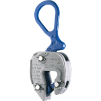 Brides de levage GX, 6000 lb (3 tonnes) Charge d'utilisation max., 1/16" - 1" Ouverture des m&acirc;choires NRZ Safety Inc.